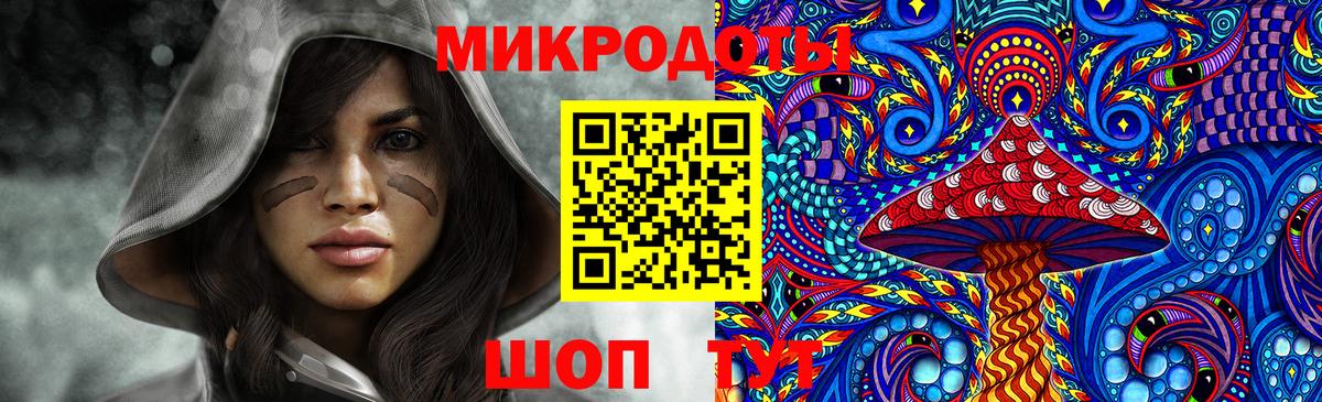 Псилоцибиновые грибы Magic Shrooms  Псилоцибиновые грибы Cubensis  Котлас  где купить наркоту  Вход с VPN 