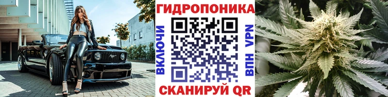 купить наркотик  Котлас  Канабис ГИДРОПОН 